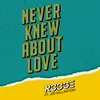 Never Knew About Love