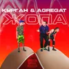 About Жопа Song