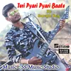 About Teri Pyari Pyari Batein Song