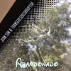 About Abandonado Song