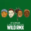 About Wild-RMX Song
