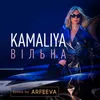 About Вільна-Arfeeva Remix Song