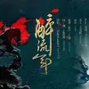 About 醉流年 Song