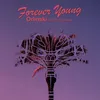 About Forever Young Song