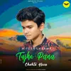 About Tujhe Pana Chahta Hoon Song