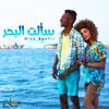 About Saalt El Bahr Song