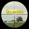 About Mr.Brown Song