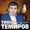 About Пять струн Song