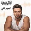 About Aleb Albi Song