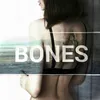 About BONES Song