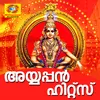 Ayyappa Nin Karuna