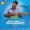 Nirayumeemizhi