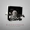 About Bloodstream Song