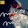About Dhoore Dhoore Vaanam Song