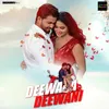 About Deewana Deewani Song