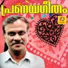 About Neerpallungukal Song