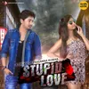 Kichhi Kichhi Asha-From "Stupid Love"