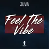 About Feel the Vibe Song