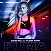 About Puma Song
