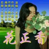 花正香-伴奏