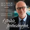 About Tröllaslagur Song