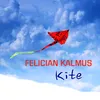 Kite