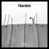 About Haram Song