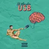 About USB Song