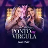 About Ponto ou Vírgula Song