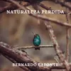 About Naturaleza Perdida Song