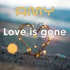 About Love Is Gone Song