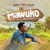 About Mawuko Song