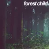 About Forest Child Song
