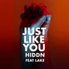 Just Like You-Radio Edit