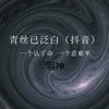 About 青丝已泛白-抖音热播版 Song