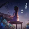 About 盲点-抖音热歌版 Song