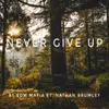 About Never Give Up Song