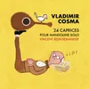 24 Caprices pour mandoline solo: No. 11 in A Minor, Andante cantabile. Nadia