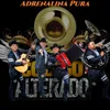 About Adrenalina Pura-Norteño-Banda Song