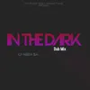 In the Dark-Dub Mix