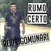 About Rumo Certo Song