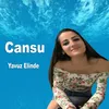 About Yavuz Elinde Song