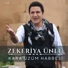 About Kara Üzüm Habbesi Song