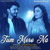 About Tum Mere Na Song