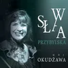 Piosenka o żołnierskich butach