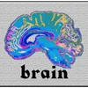 Brain