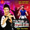 About Tiktok Ni Superstar Song