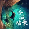 浮游勝景-博物旅行2020推廣曲