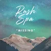 About Missing Song