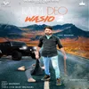 About Kaum De Wasio 2 Song